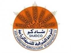 تحليل الشرقية للتنمية 8-1-2023